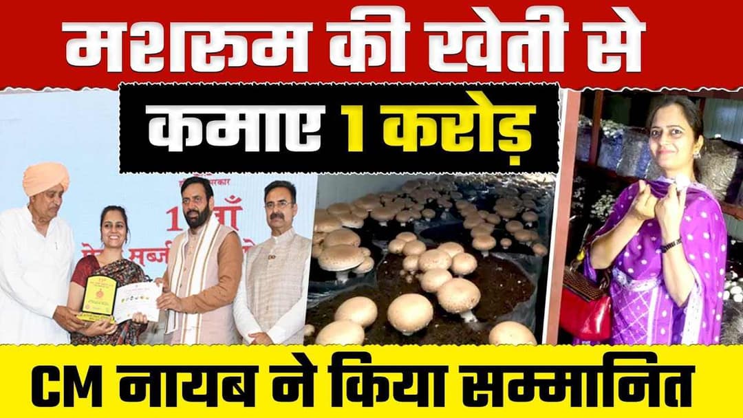Meet Sonia Dahiya: The 'Mushroom Lady of Haryana' | NJP Haryana news..