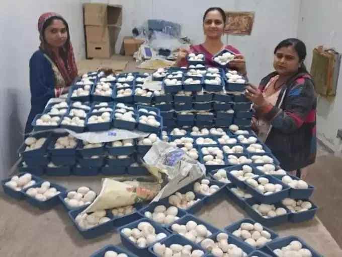 Meet India’s ‘Mushroom Lady’ Turns Biotech Skills into Thriving Agri-Business Amid....