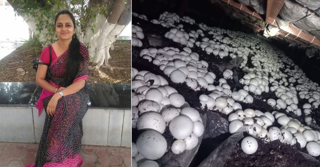 Haryana Teacher Runs Multi-Lakh Mushroom Biz Alongside Govt Job to Empower Rural....