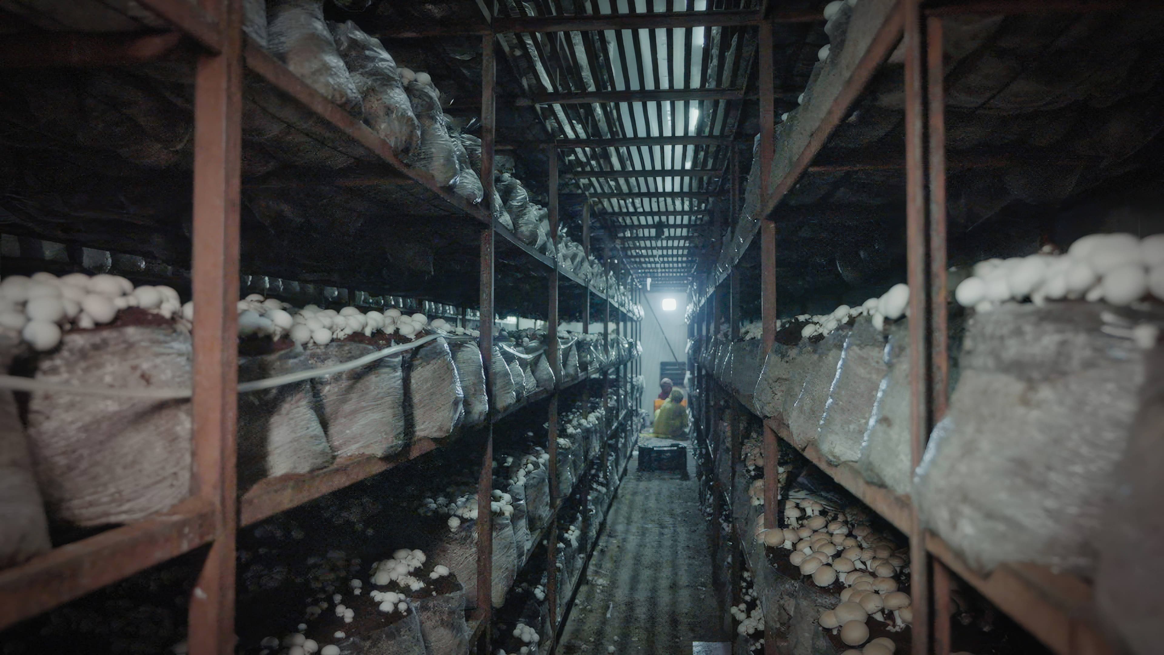 farm image