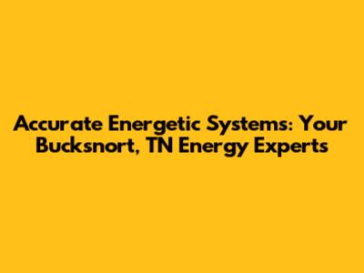Accurate Energetic Systems: Your Bucksnort, TN Energy Experts